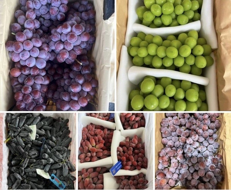 Việt Nam là “khách sộp” số 1 của nho Trung Quốc?